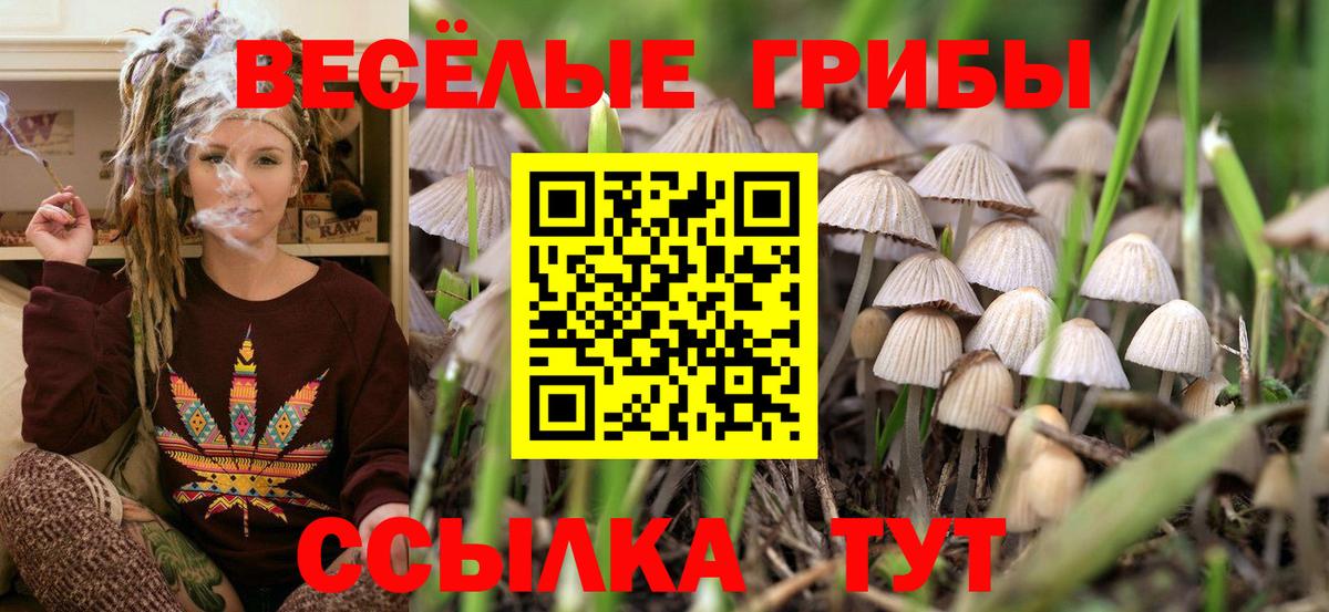 Галлюциногенные грибы прущие грибы  купить наркотик  Гагарин  Галлюциногенные грибы мицелий  Вход с VPN 